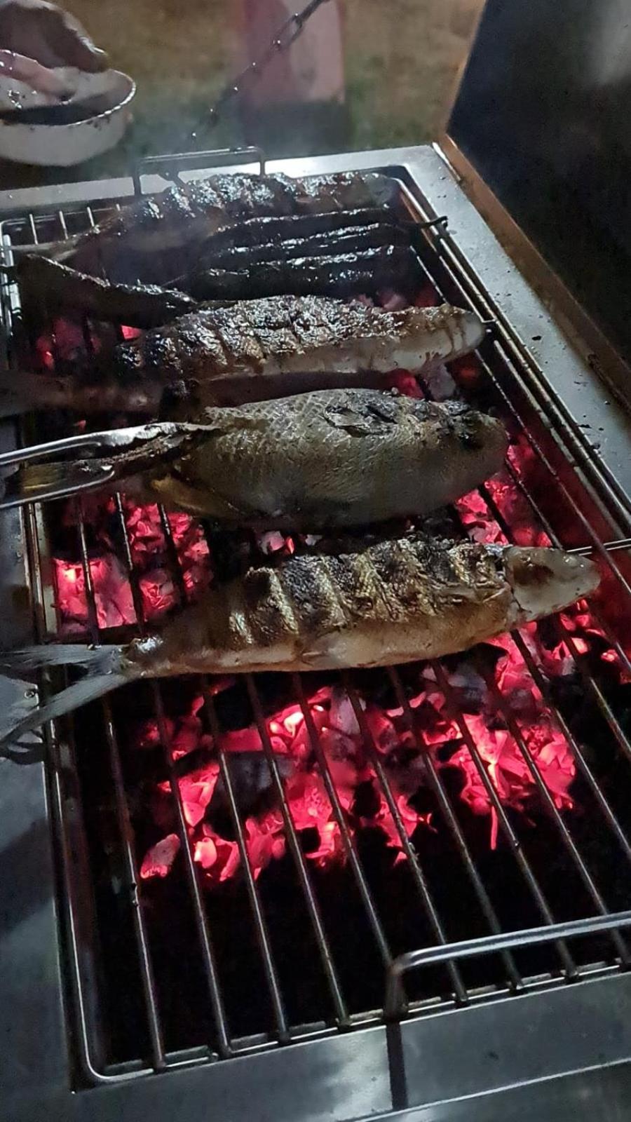 알라미노스 150 Lucap Road 빌라 외부 사진